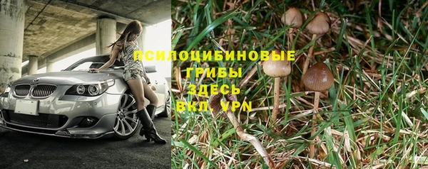 кристаллы Ельня