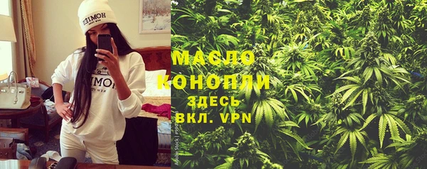 ешки Елабуга
