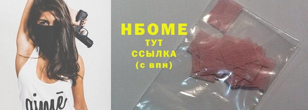 стаф Елизово