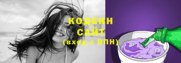 первитин Дмитриев