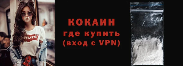 стаф Елизово