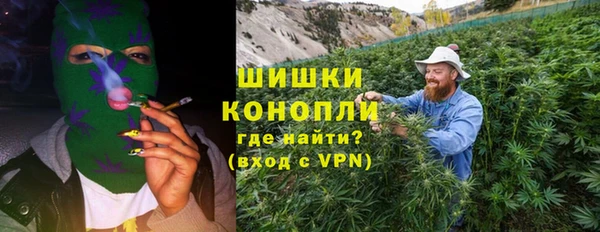 стаф Елизово