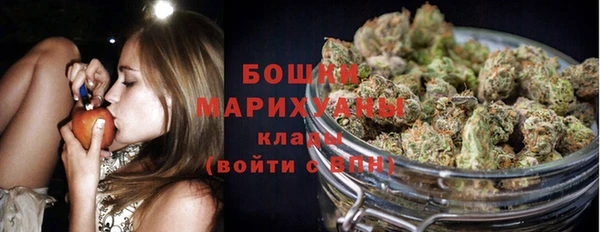 стаф Елизово