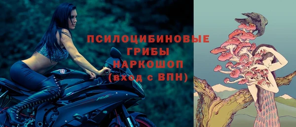 ешки Елабуга