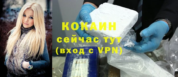 твердый Дмитровск