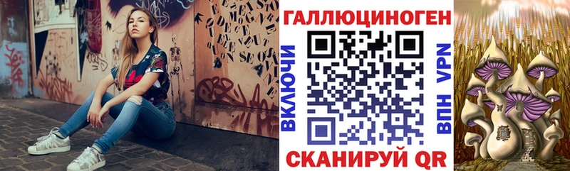 Псилоцибиновые грибы Cubensis  цены   Волгодонск 
